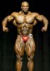ifbb