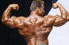 ifbb