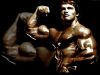 ifbb