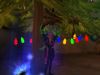 shadowmoon