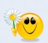 m@rkiz@