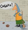 ежиха