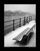 nevad@