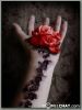 cut_vein