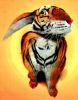 tigerik