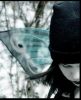 the)emo!tons