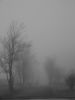 dead_miracle
