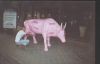 v@ran4ik