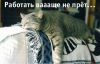 n@t