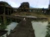 the_witcher