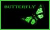 mrs_butterfly