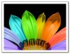 colourful