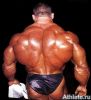 titan_gym