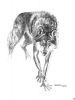 werewolfsaramant