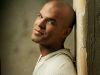 fernandosucre