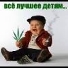 lok_dog