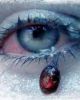 blutengel.
