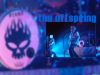 punk_rules