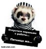 bapah