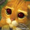 t@tka