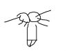 knopk@