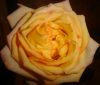 ice_heart