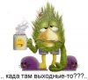 n@dusha