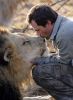 lion1