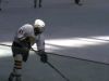 ovi