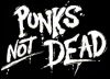 p.u.n.k