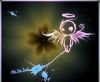 c@rn@by