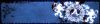 amatory_rulezz