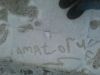 amatory_rulezz