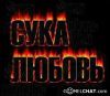 belosnezhka