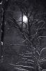 gothic_style