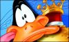 daffyduck