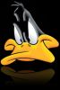 daffyduck
