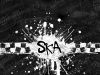 skak@^ka