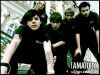 amatory__