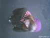 skateengo_o