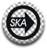skateengo_o