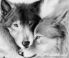 old_wolf