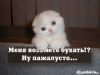 з@ср@нк@