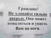 v@nish