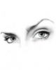 frey_wille
