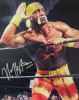 hulk_hogan