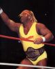 hulk_hogan