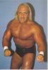 hulk_hogan