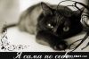 princess@