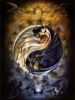 soul_m@gik